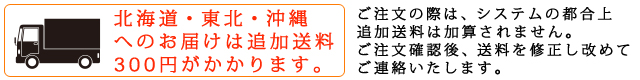 追加送料300円注意書き有