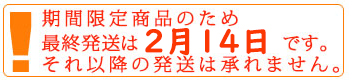 バレンタイン 発送案内